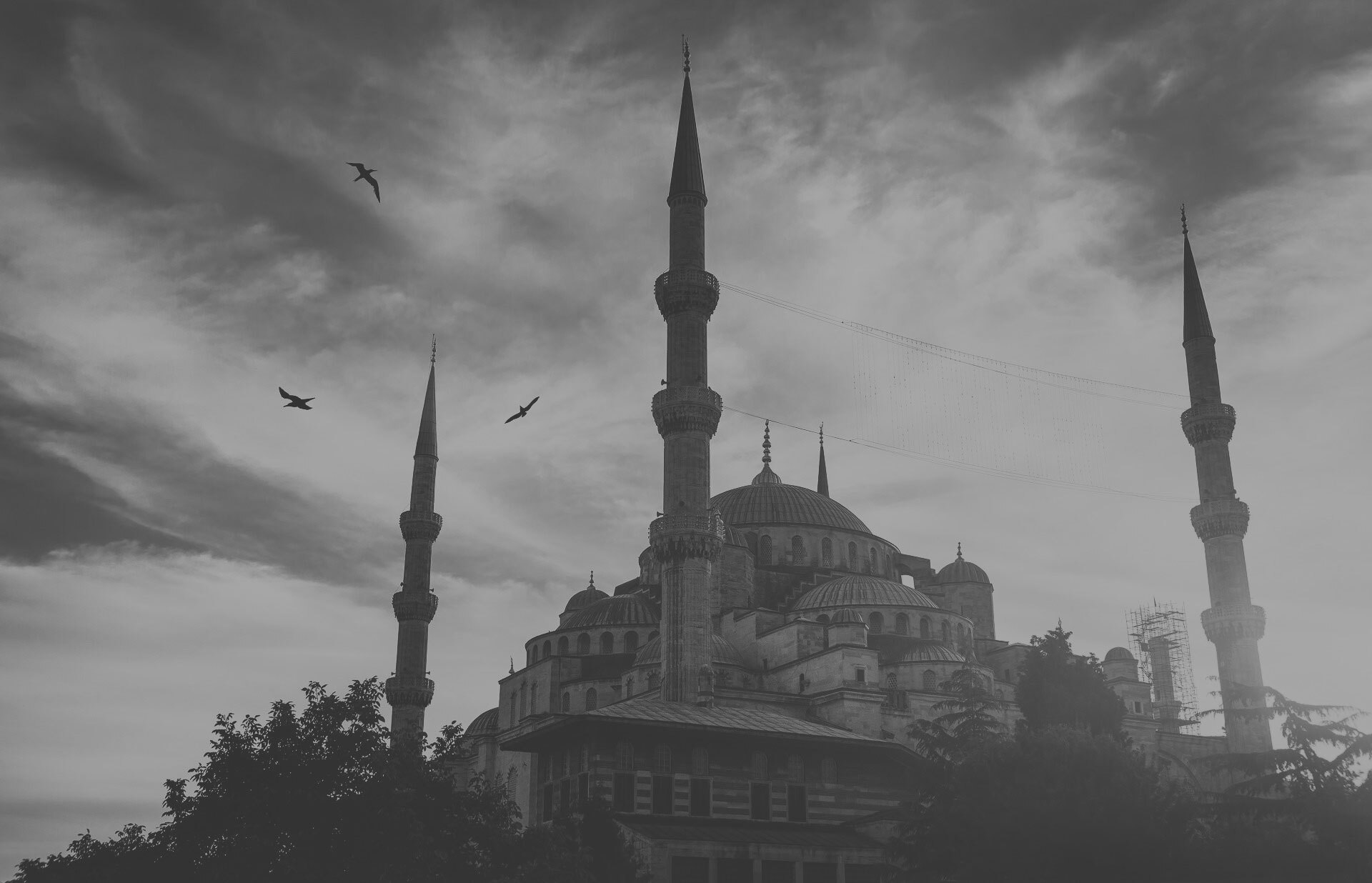 footer_image